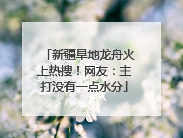 新疆旱地龙舟火上热搜！网友：主打没有一点水分