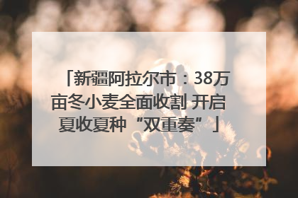 新疆阿拉尔市：38万亩冬小麦全面收割 开启夏收夏种“双重奏”