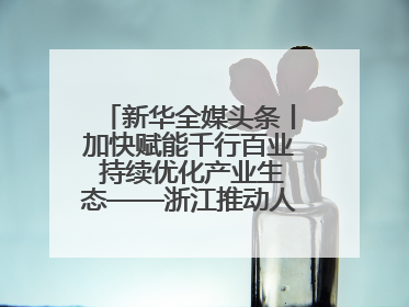 新华全媒头条丨加快赋能千行百业 持续优化产业生态——浙江推动人工智能健康有序发展观察