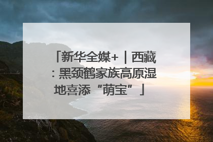 新华全媒+｜西藏：黑颈鹤家族高原湿地喜添“萌宝”