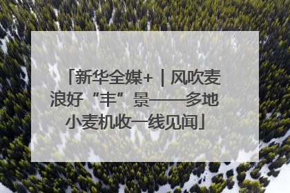 新华全媒+｜风吹麦浪好“丰”景——多地小麦机收一线见闻