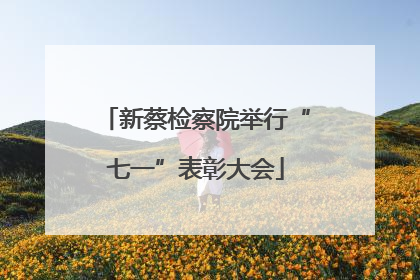 新蔡检察院举行“七一”表彰大会