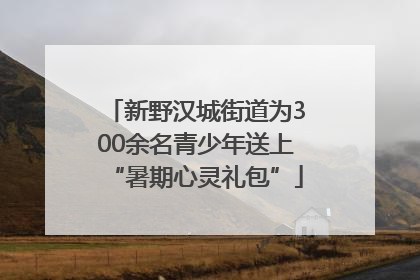 新野汉城街道为300余名青少年送上“暑期心灵礼包”