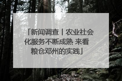 新闻调查丨农业社会化服务不断成熟 来看粮仓邓州的实践