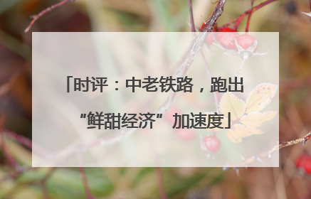 时评：中老铁路，跑出“鲜甜经济”加速度