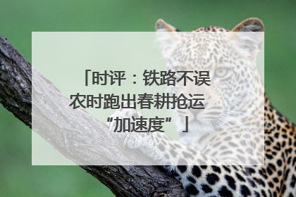 时评：铁路不误农时跑出春耕抢运“加速度”