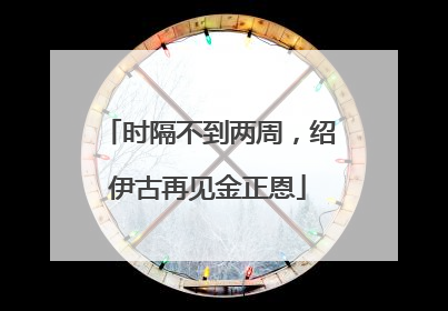 时隔不到两周，绍伊古再见金正恩