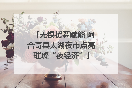 无锡援疆赋能 阿合奇县太湖夜市点亮璀璨“夜经济”