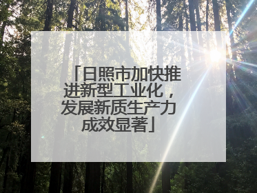 日照市加快推进新型工业化，发展新质生产力成效显著