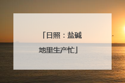 日照：盐碱地里生产忙