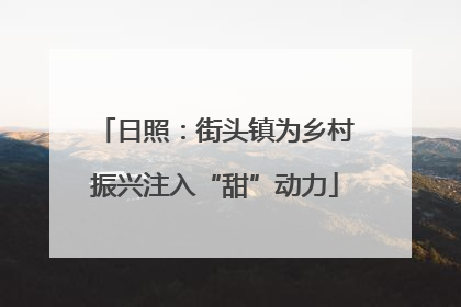 日照：街头镇为乡村振兴注入“甜”动力