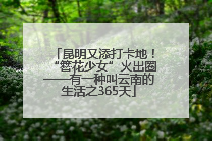 昆明又添打卡地！“簪花少女”火出圈——有一种叫云南的生活之365天