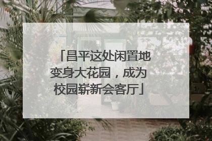 昌平这处闲置地变身大花园，成为校园崭新会客厅
