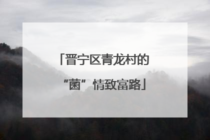 晋宁区青龙村的“菌”情致富路