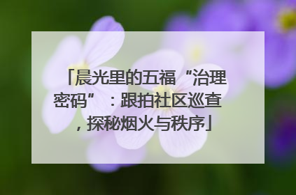 晨光里的五福“治理密码”：跟拍社区巡查，探秘烟火与秩序