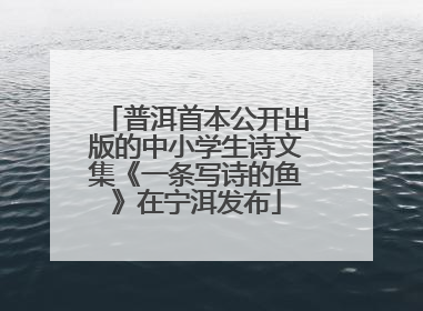 普洱首本公开出版的中小学生诗文集《一条写诗的鱼》在宁洱发布