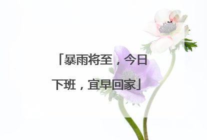 暴雨将至，今日下班，宜早回家