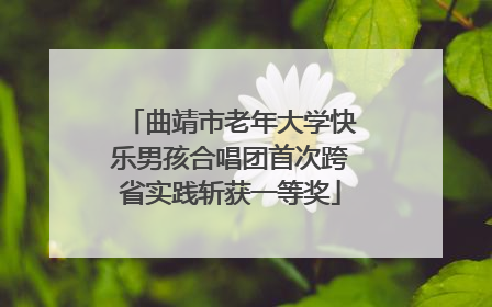 曲靖市老年大学快乐男孩合唱团首次跨省实践斩获一等奖