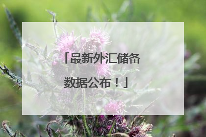 最新外汇储备数据公布！