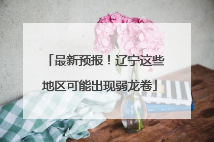 最新预报！辽宁这些地区可能出现弱龙卷