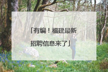 有编！福建最新招聘信息来了