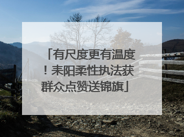有尺度更有温度！耒阳柔性执法获群众点赞送锦旗