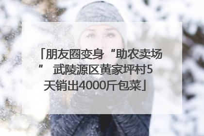 朋友圈变身“助农卖场” 武陵源区黄家坪村5天销出4000斤包菜