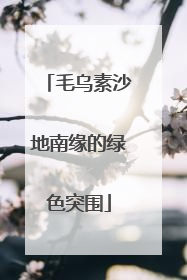 毛乌素沙地南缘的绿色突围