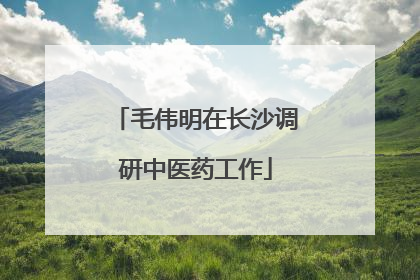 毛伟明在长沙调研中医药工作