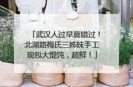 武汉人过早莫错过！北湖路梅氏三姊妹手工现包大馄饨，超鲜！