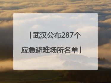 武汉公布287个应急避难场所名单