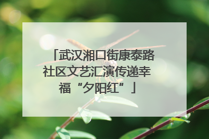 武汉湘口街康泰路社区文艺汇演传递幸福“夕阳红”
