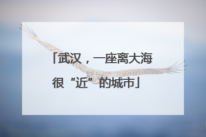武汉，一座离大海很“近”的城市