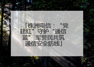 株洲电信：“党建红”守护“通信蓝” 军警民共筑通信安全防线