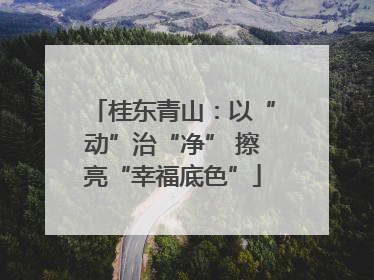 桂东青山：以“动”治“净” 擦亮“幸福底色”