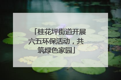 桂花坪街道开展六五环保活动，共筑绿色家园