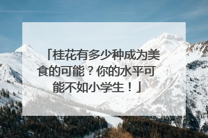 桂花有多少种成为美食的可能？你的水平可能不如小学生！