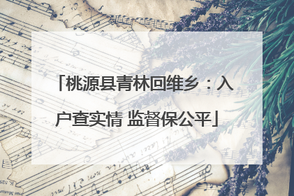 桃源县青林回维乡：入户查实情 监督保公平