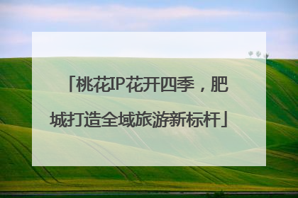 桃花IP花开四季，肥城打造全域旅游新标杆