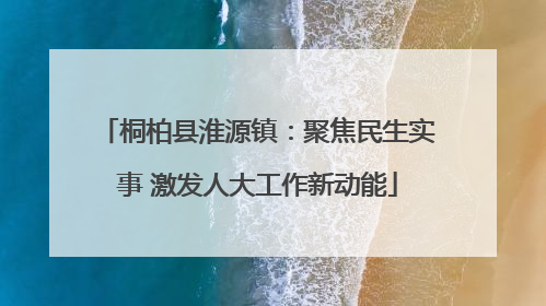 桐柏县淮源镇：聚焦民生实事 激发人大工作新动能
