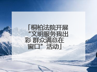 桐柏法院开展“文明服务我出彩 群众满意在窗口”活动