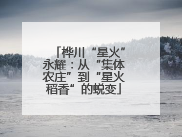 桦川“星火”永耀：从“集体农庄”到“星火稻香”的蜕变