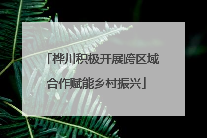 桦川积极开展跨区域合作赋能乡村振兴