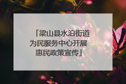 梁山县水泊街道为民服务中心开展惠民政策宣传