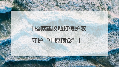 检察建议助打假护农守护“中原粮仓”