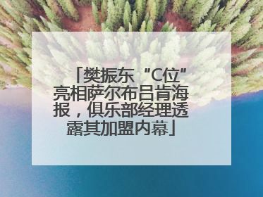 樊振东“C位”亮相萨尔布吕肯海报，俱乐部经理透露其加盟内幕