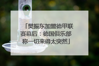 樊振东加盟德甲联赛幕后：德国俱乐部称一切来得太突然