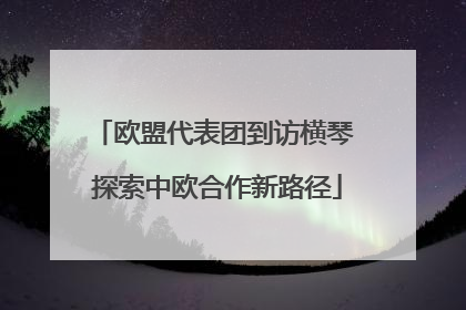 欧盟代表团到访横琴 探索中欧合作新路径