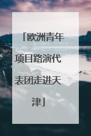 欧洲青年项目路演代表团走进天津