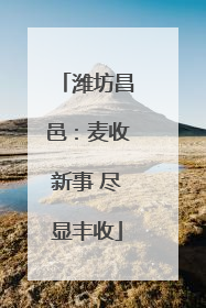 潍坊昌邑：麦收新事 尽显丰收